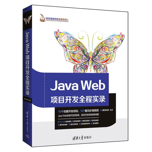 流程 java web网站开发发布数据库建模书 软件项目开发全程实录图书籍